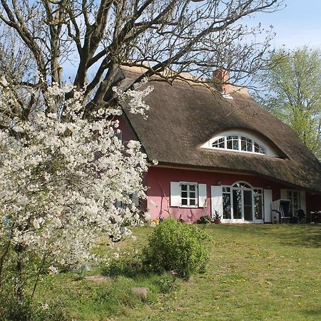 Altes Waschhaus Krakvitz Apartment พุทบัส ภายนอก รูปภาพ
