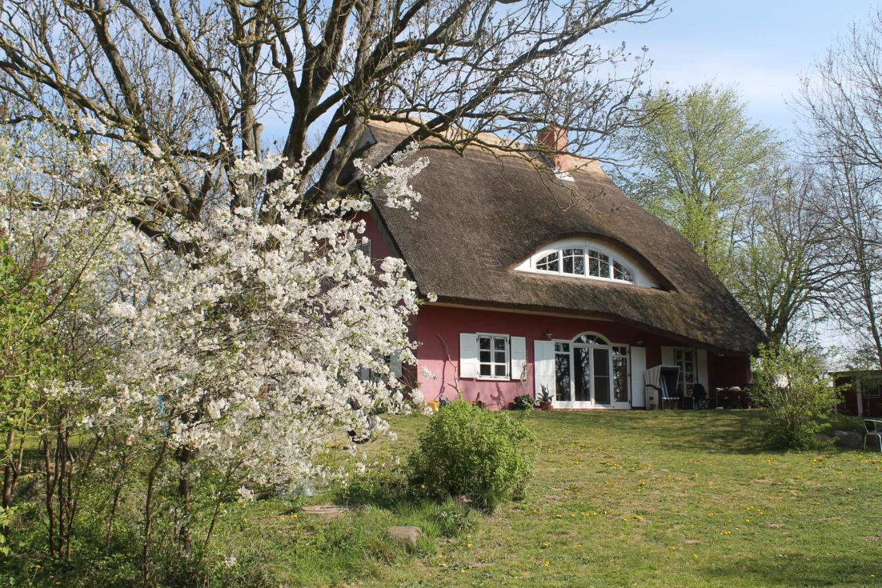 Altes Waschhaus Krakvitz Apartment พุทบัส ภายนอก รูปภาพ