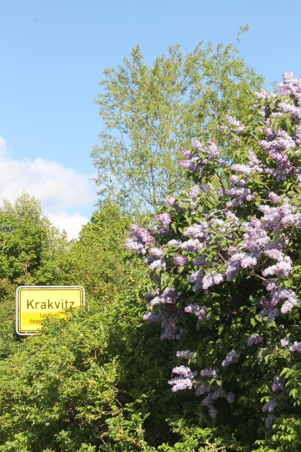 Altes Waschhaus Krakvitz Apartment พุทบัส ภายนอก รูปภาพ